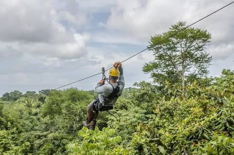 Thrilling zipline adventure above the lush tropical canopy