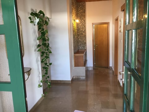 Apartments and Room Milena - Unit 376451-13