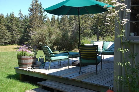 Bright, private architectural cottage image 3