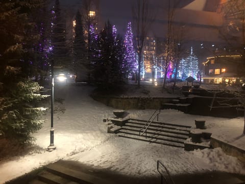 Whistler Christmas Condo
