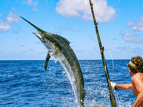 Sport Fishing from Los Sueños Marina