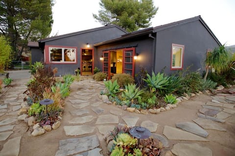 Succulent and Native grass entrance