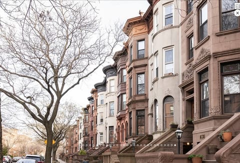 Brooklyn tree lined streets