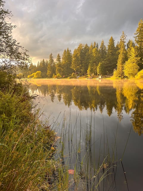 Birdsong : lakeside serenity retreat. image 3