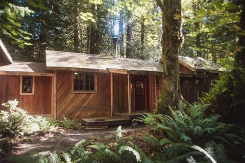 Alderwood Cabin - Hot tub