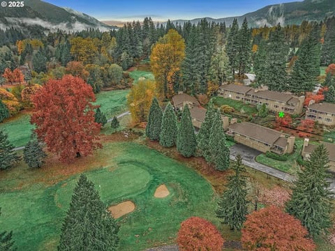 Alderwood Cabin - Hot tub