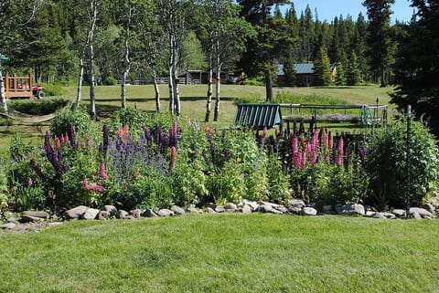 English gardens in the yard