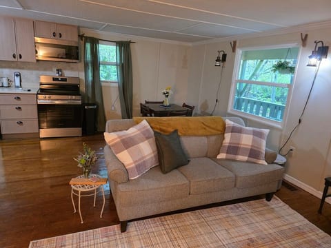 Riverfront Cabin | Hot Tub, Dock & Kayaks image 3