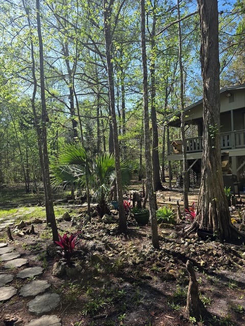 Riverfront Cabin | Hot Tub, Dock & Kayaks image 1