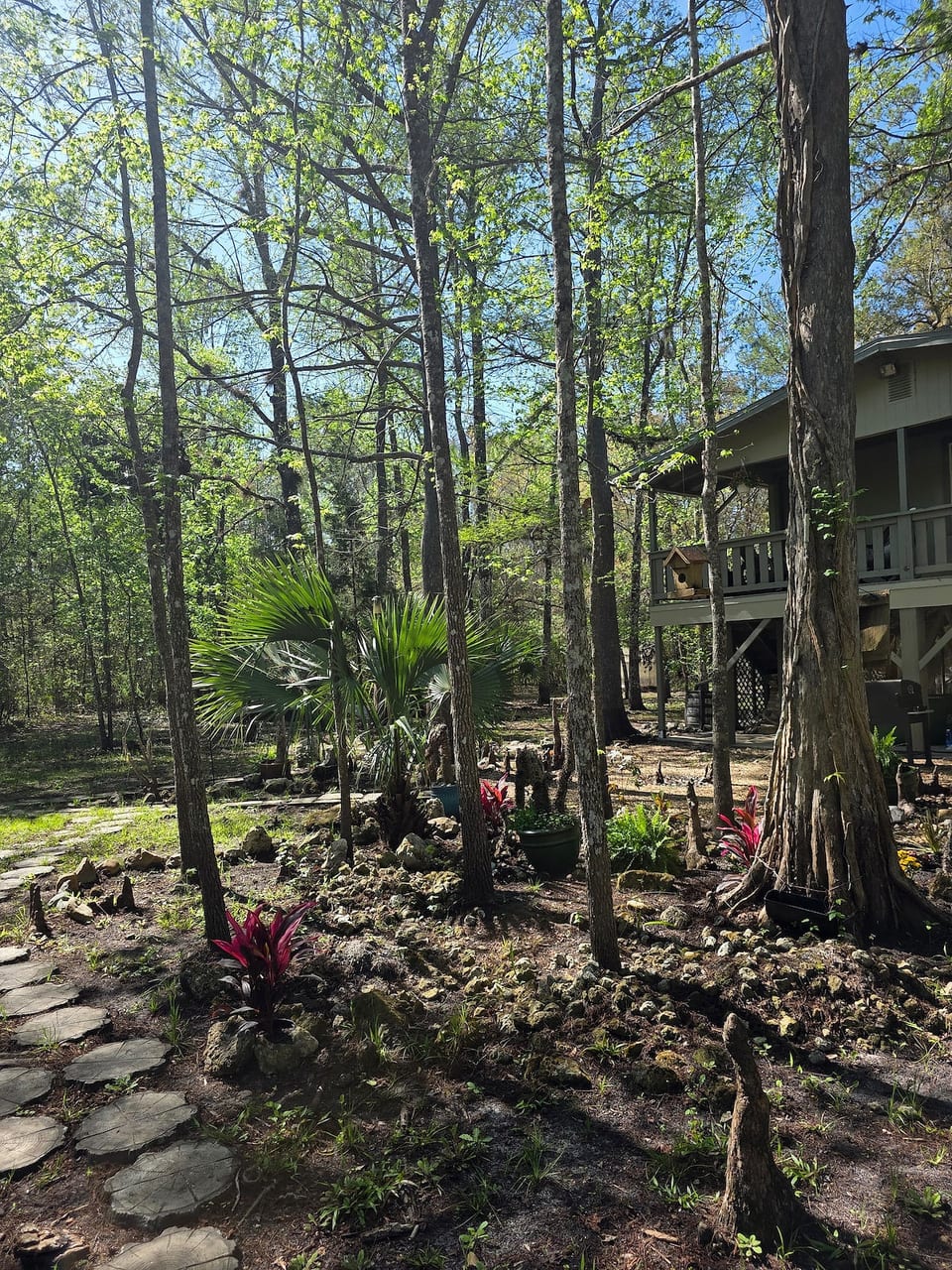 Riverfront Cabin | Hot Tub, Dock & Kayaks image 1