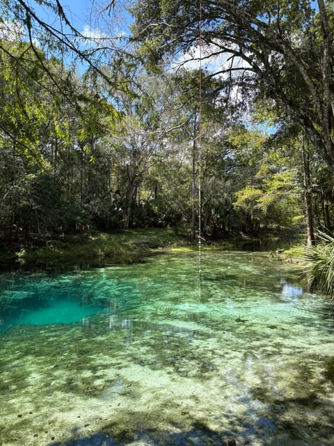Hidden Spring Accessible by Boat Only