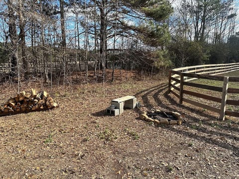 Par 4 - RV site on a farm! Dogs/horses welcome! image 5
