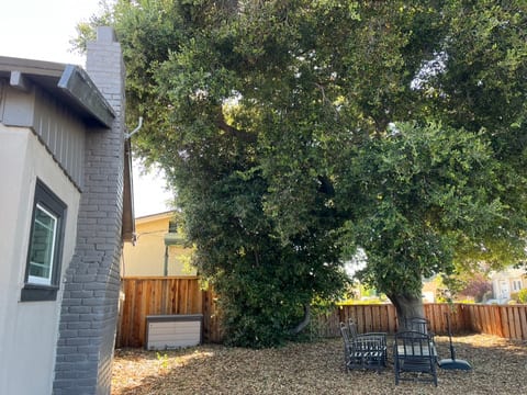 Front corner yard has two oak trees, rocking patio chairs, slate tables, and a storage chest containing Sunbrella chair cushions.