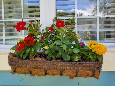 The Bean Cottage- Flower box