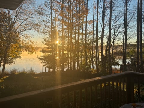 Morning view from primary bedroom