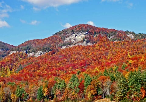 Beautiful fall colors in Sapphire area.