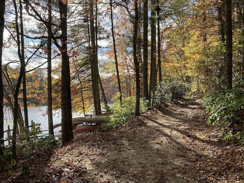 Beautiful fall foliage on lake path just steps from your back deck.