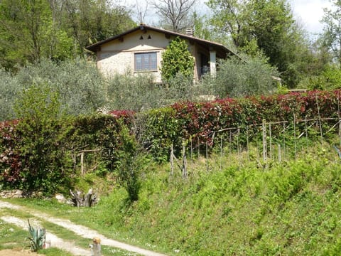 Rustico in schöner ruhigen Lage mit privatem Pool und großem Garten.