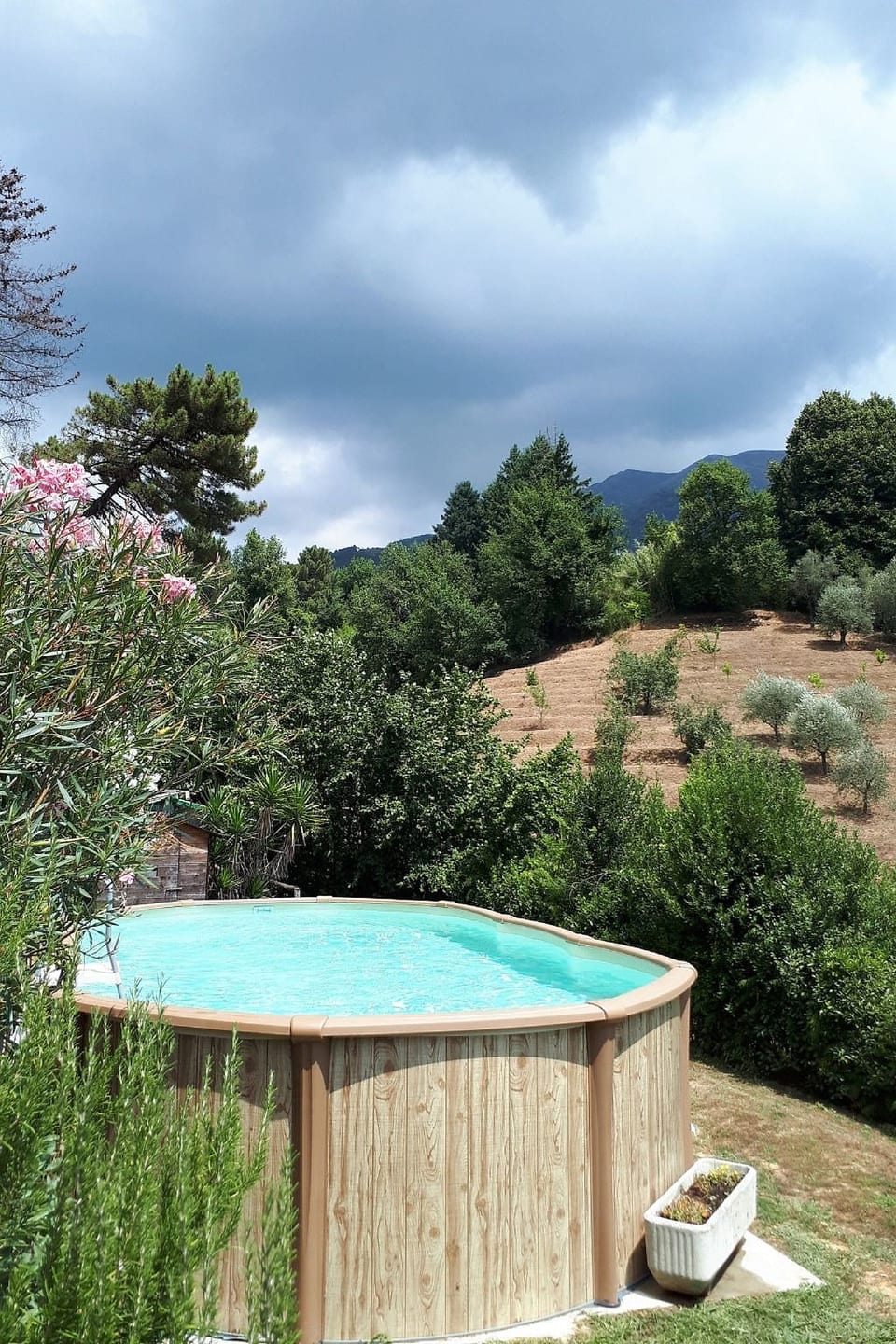 Rustico in schöner ruhigen Lage mit privatem Pool und großem Garten. - Camaiore