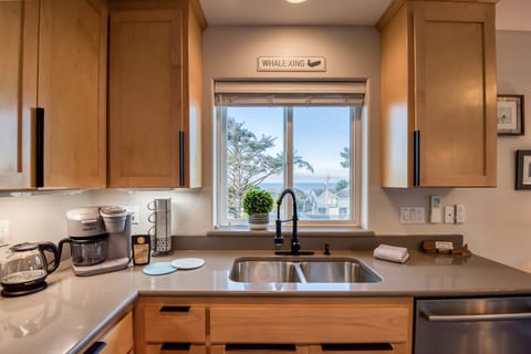 Ocean View Kitchen Sink