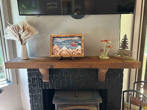 Spacious Mountain Cabin- private, game rm, pets ok image 4