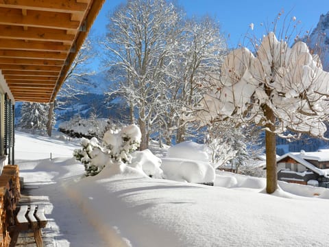Chalet Gsür Appartement/Fewo, Bad, WC, 2 Schlafräume