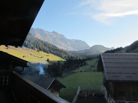 Gilbachhöckli 2 Appartement/Fewo, Bad, WC, 3 Schlafräume 4-Zimmerwohnung