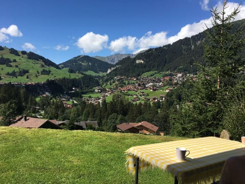 Shalom Appartement/Fewo, Bad, WC, 2 Schlafräume 3-Zimmerwohnung