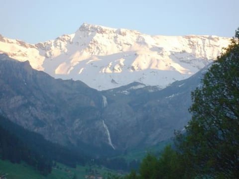 Alpenveilchen 1 Appartement/Fewo, Bad, WC, 2 Schlafräume 3.5-Zimmerwohnung