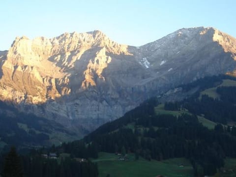 Alpenveilchen 1 Appartement/Fewo, Bad, WC, 2 Schlafräume 3.5-Zimmerwohnung