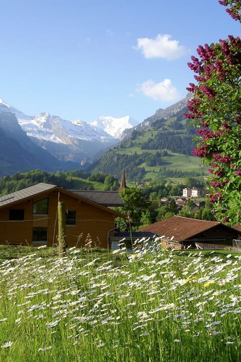 Cottage Appartement/Fewo, Dusche, WC, 1 Schlafraum 2 Zimmerwohnung