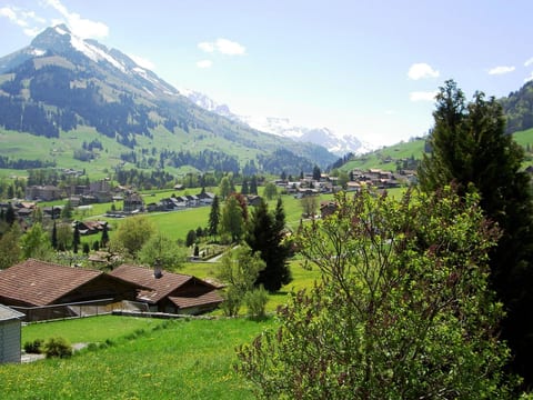 Cottage Appartement/Fewo, Dusche, WC, 1 Schlafraum 2 Zimmerwohnung