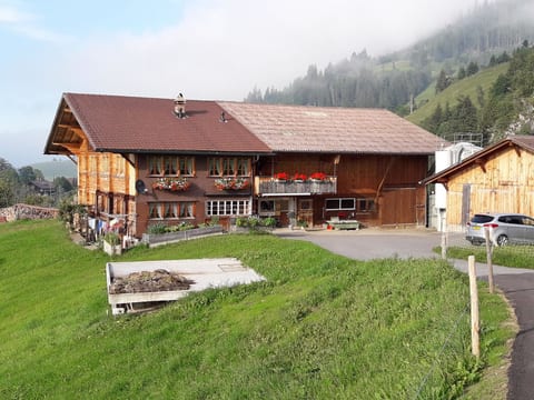 Bauernhaus Uf dr Flue Appartement/Fewo, Bad, WC, 4 oder mehr Schlafräume