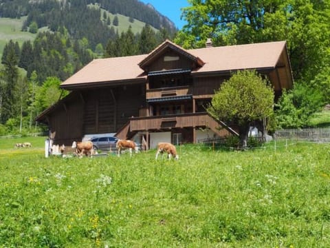 Chalet Rüteli Appartement/Fewo, Dusche, WC, 1 Schlafraum 2-Zimmerwohnung