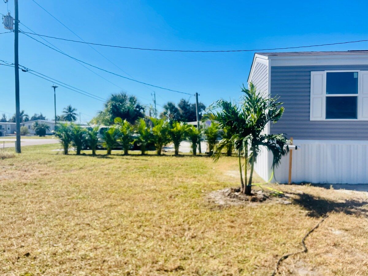 A ton of newly planted palms in the yard