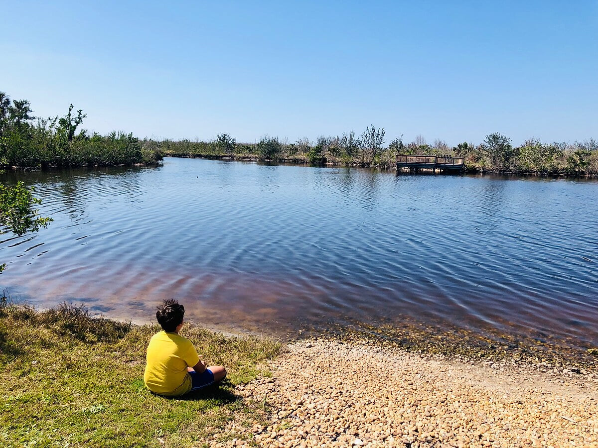 Gault Preserve is such a peaceful place to hike, picnic, walk the dogs