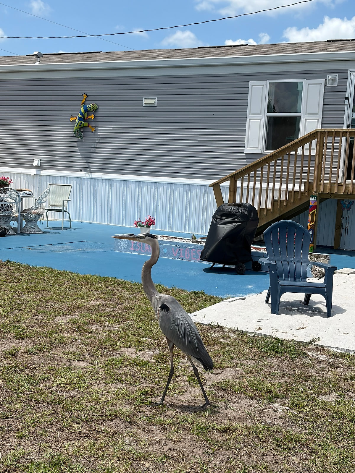 One of our adorable visitors