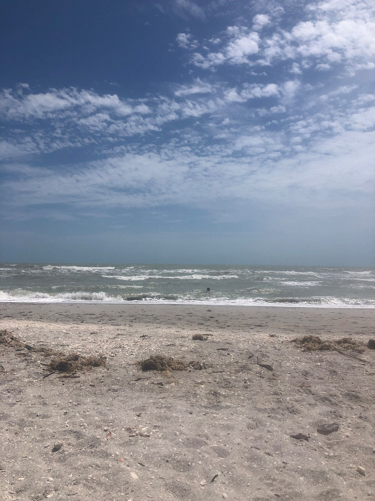 Sanibel Beach on a windy day. So cool