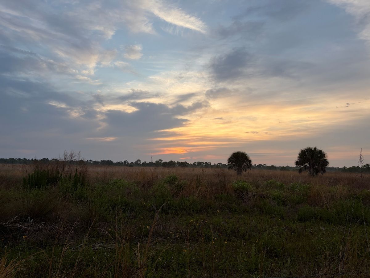 Beautiful preserves across from us!
