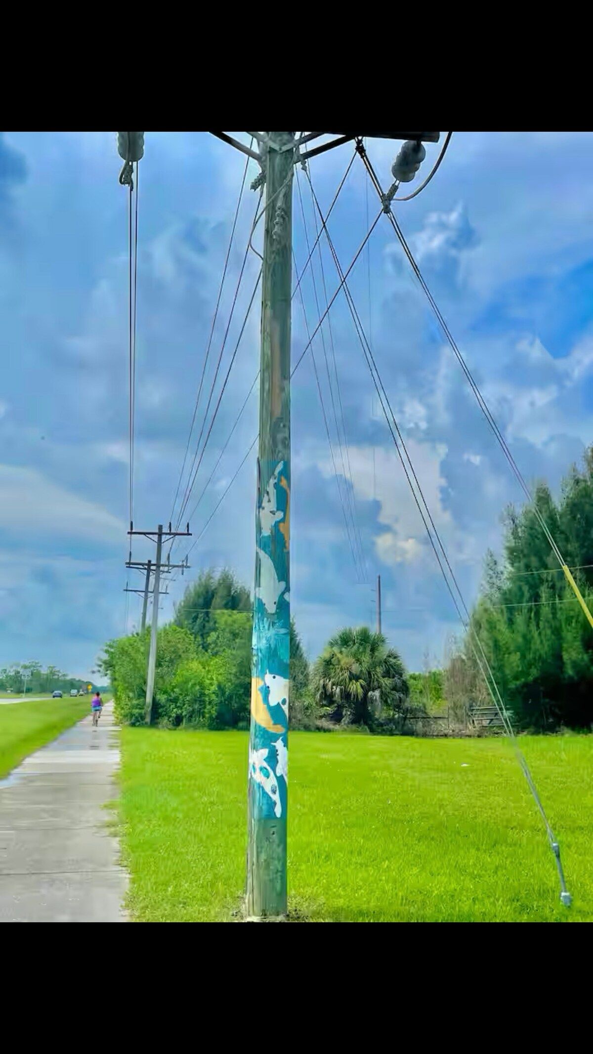 Our Island is super unique and has a 16 mile long bike path. From one tip of the island to the other...really fun