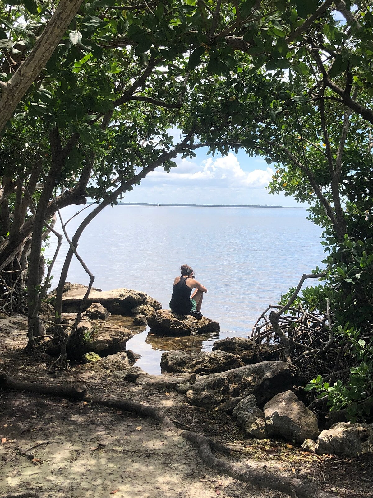 Tropical Point - beautiful mangroves everywhere and the view well, amazing!