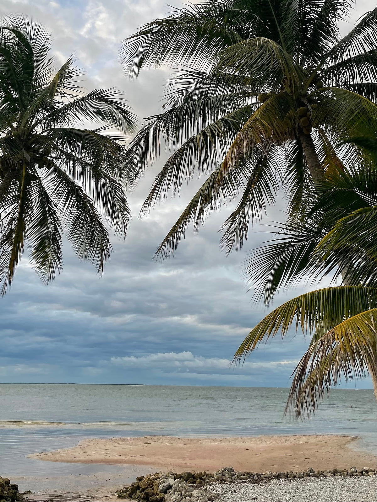 Bokeelia, sometimes there's just no words for this sight!  This is also on Pine Island.
