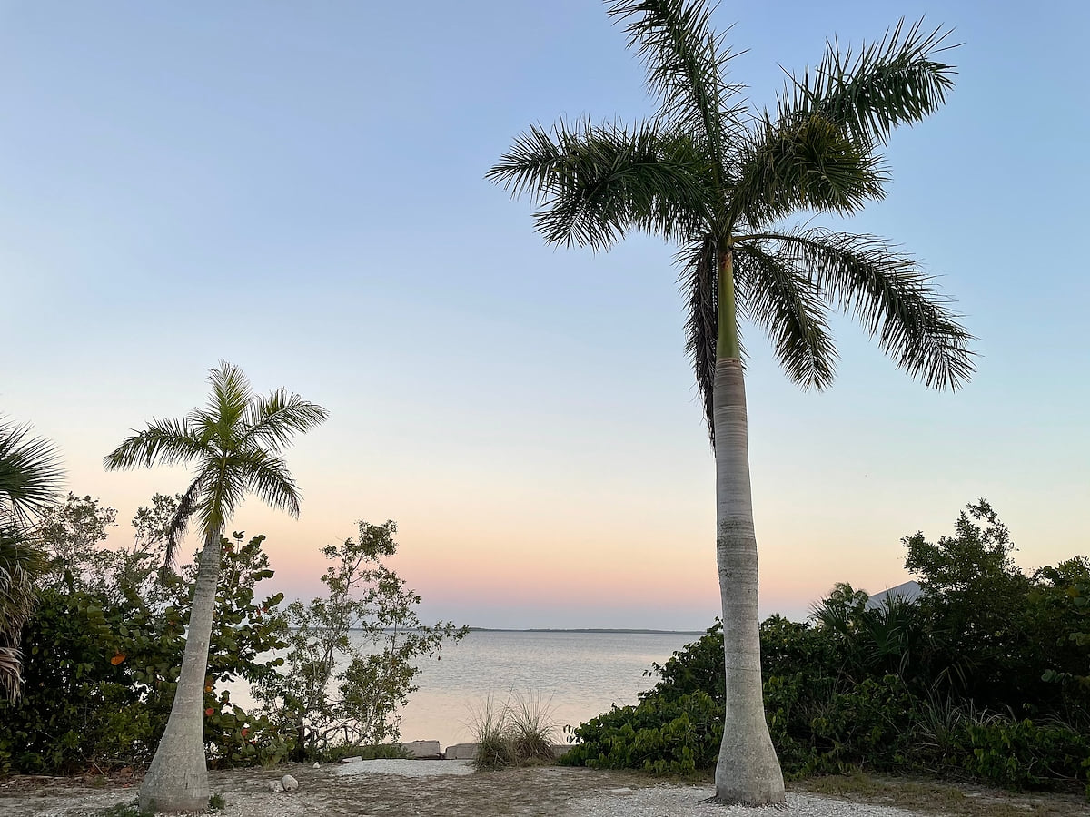 Matlacha views for days!
This is at Matlacha community park, less than 10 minutes away.  Attached to our Island is the tiny Island of Matlacha.