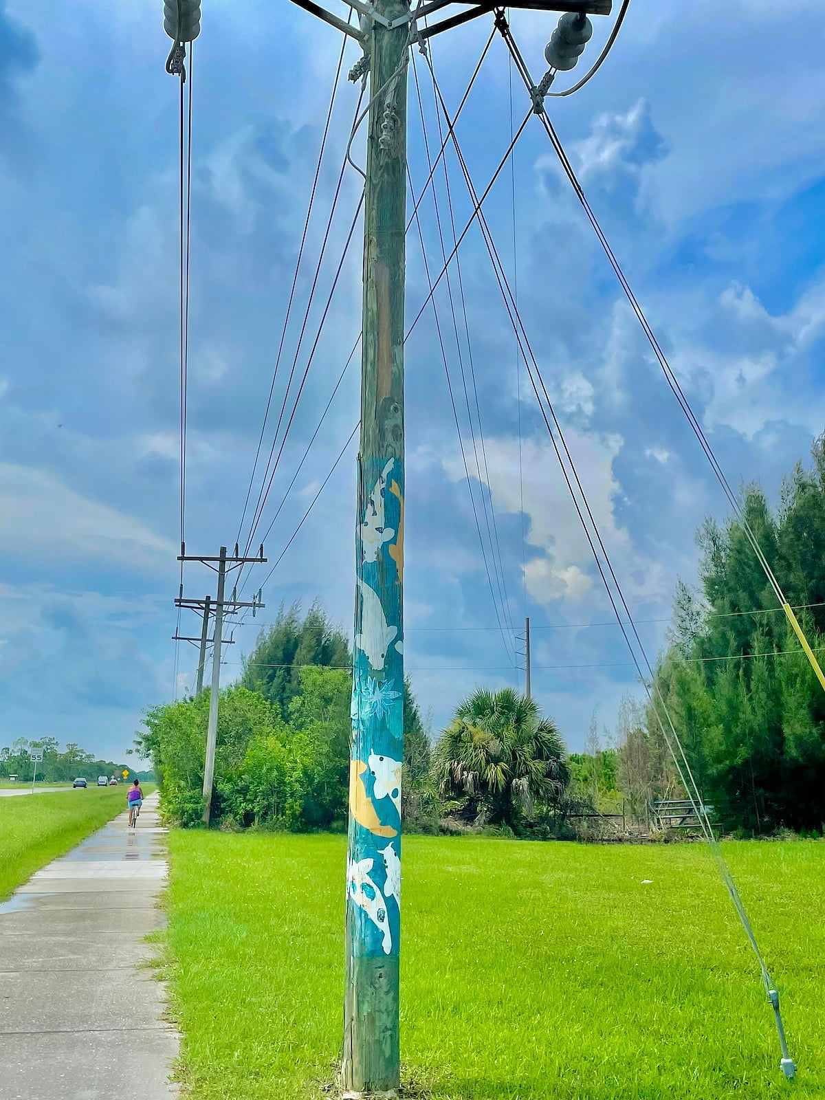 Our awesome wide bike path!! This goes the whole length of the Island with many sights to see as you go!  Check it out