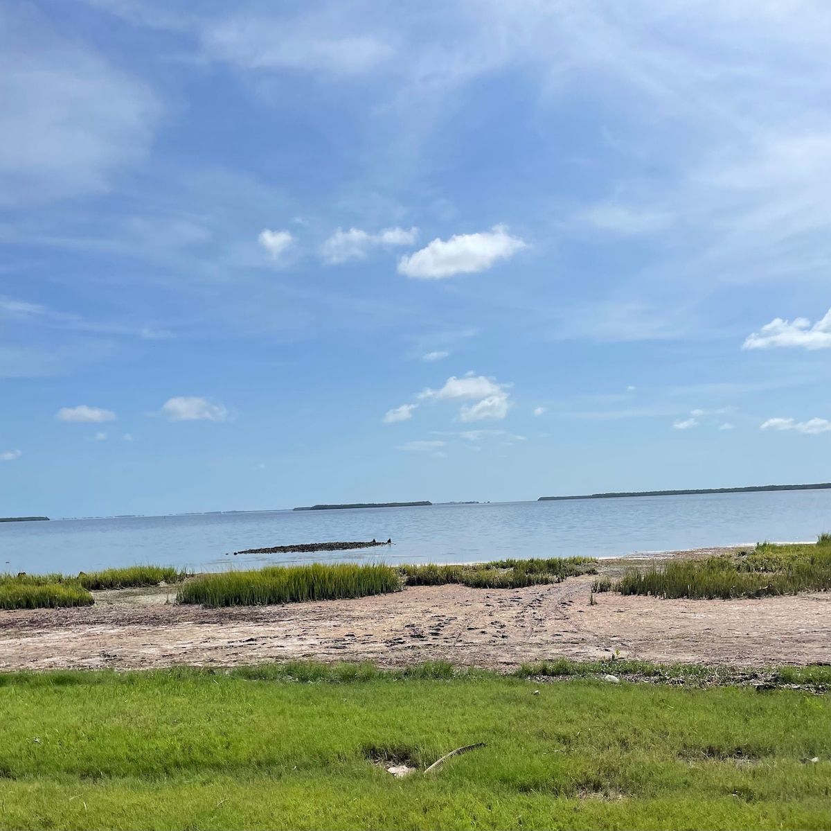 Pineland Monument Park on the Island