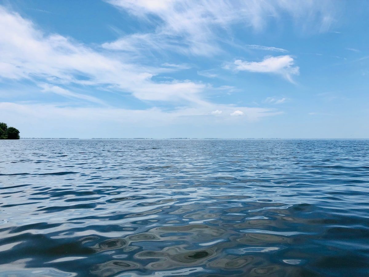 You can spot the Island beaches in the distance!  Once you get out of the canal you are super close to all the magnificent beaches like Captiva, Sanibel and many others!  This is us floating out in the open water.