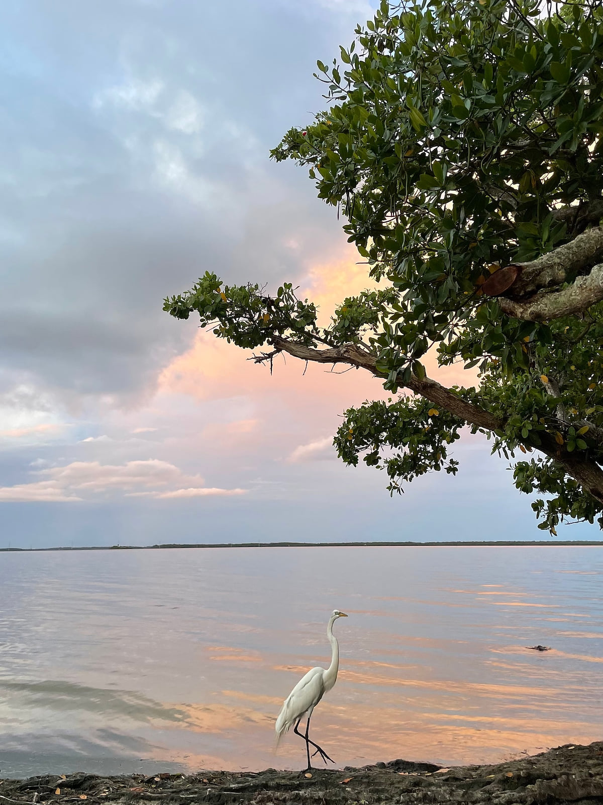 Tropical Point Park in Saint James City, about 2 miles from our house.  A great small beach, kayak launch, picnic tables.  We love biking here.  Enjoy!