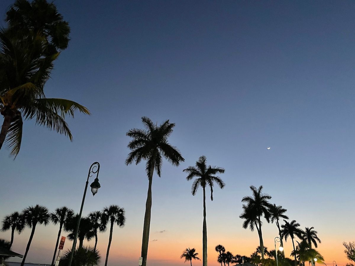 Can't get enough of palm trees!