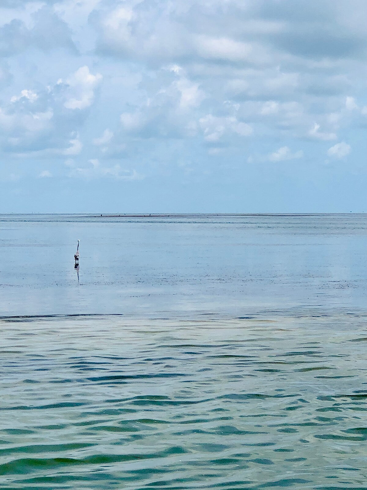 Out on the water in the gulf just beautiful!