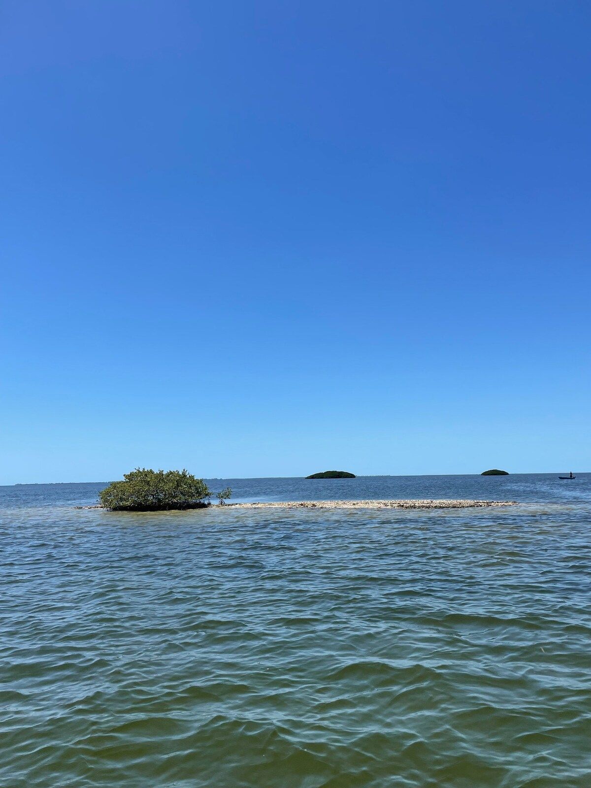 Little islands to kayak to right near our house!  Have fun